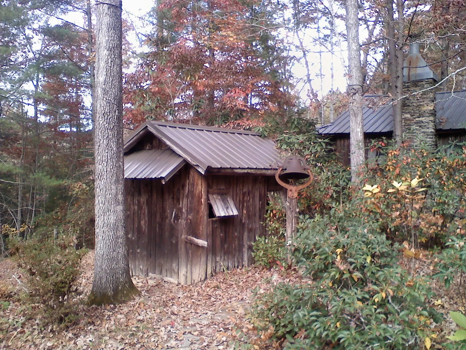 Small metal roof on a rough sawn shed in the woods in Gardnerville